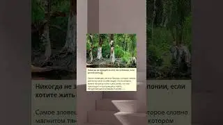 Никогда не заходите в этот лес в Японии, если хотите жить😱