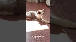 любите.. они с нами ненадолго..
