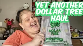 Yet ANOTHER Dollar Tree Haul!