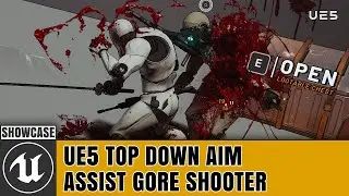 UE5 Top Down Aim Assist Gore Shooter