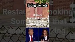 Donald Trump says illegal immigrants are eating the Pets; dogs and cars #trump #kamalaharris