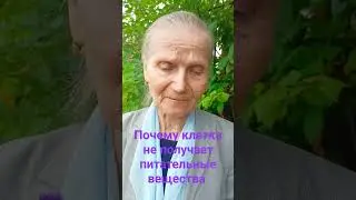 клетки не получают питательные вещества