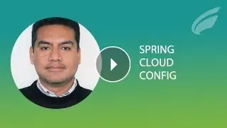 Aplicando Spring Cloud Config
