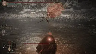 Malenia, Blade of Miquella | Elden Ring | Boss Fight