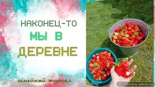 В деревне! Июнь.2024