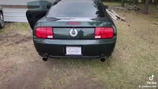08 Mustang Bullitt