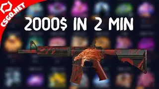 2000$ Profit in 10 Minute