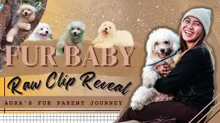 MEET ITACHII my FURBABY |raw clip of my first adorable baby |a u r a