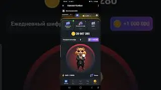 СРОЧНО!! ЭТО НОВЫЙ ШИФР 6 ИЮЛЯ В ХАМСТЕР КОМБАТ!!! КАКОЙ НОВЫЙ ШИФР В HAMSTER KOMBAT?