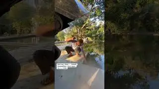Mancing ikan dapat emosi #cirebon #ikan #bolang #kuningan #balong #mancing #bolangmancing
