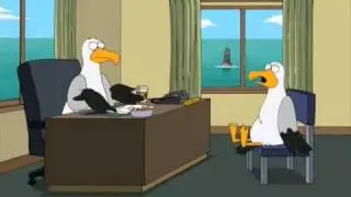 Чайки (seagull)