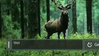 New Adobe Photoshop Generative AI