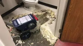 Floor Stripper Bathroom Demo