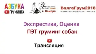 ВолгаГрум2018, Пэт груминг собак, экспертиза