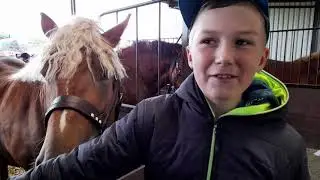 Szepietowo. Ogólnopolski Młodzieżowy Czempionat Koni Sokólskich