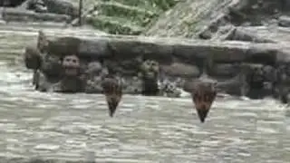 Acatitlan- Tenayuca