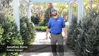 Christmas Experience at Tallahassee Nurseries