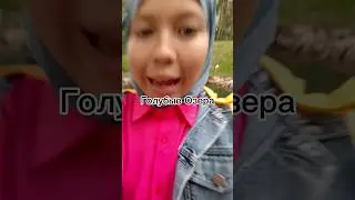 голубые озера #путешествие #асмр #поездка #природа #казань #приколы #рек #лайфстайл #лайфхак #котики