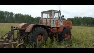 Разрабатываем брошенное поле с помощью КПШ