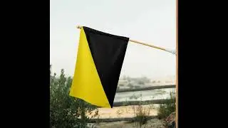 Что такое Анархо-Капитализм