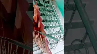 ss raling #youtubeshorts #music #song #ss
