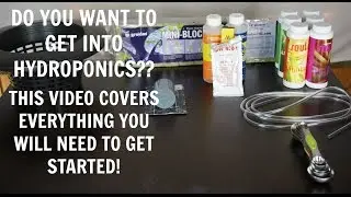Hydroponics for Beginners DIY | Everything you need to Grow! |