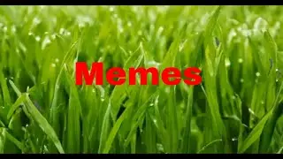 Meme Compilation #3