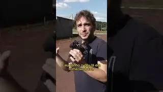 Se liga no tanto de elementos de composição a gente consegue adicionar em uma foto! 