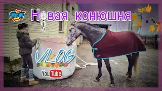 VLOG//Новая конюшня