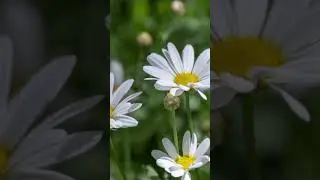 #Աղոթք