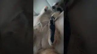Хотите тоже погладить?🥰🥰