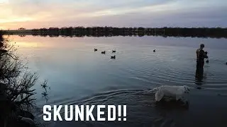 I've Never Seen So Many Ducks!!!