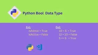 Python bool data type