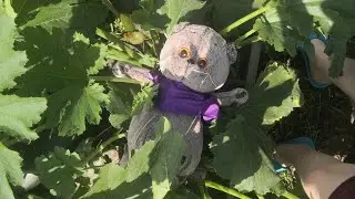 влог на даче! 🤪🌱
