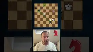 Breathtaking Rook and Bishop Chess Endgame Study      