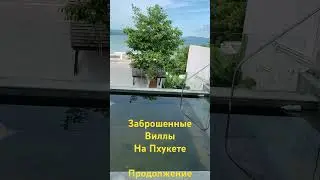Заброшенные Виллы Пхукет Продолжение #природа #villa #путешествия #travel #mono #animals