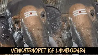 VENKATRAOPET KA LAMBODARA.🔥🐘! He is Arriving.🤫 #youtube #festival #subscribe #entry #like #share