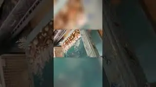 Ocean Themed Resin Pour End Table