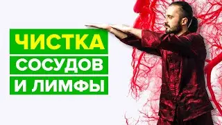 ЧИСТКА СОСУДОВ и ЛИМФЫ: Вибрационная гимнастика для очищения лимфы и сосудов от Данилы Сусака.