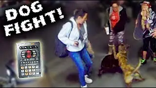 DOG FIGHT during HIP-HOP Freestyle/ SP-404/ SX MK2