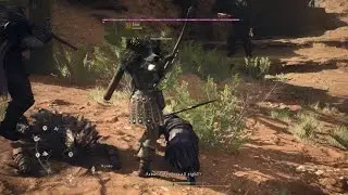 Dragon's Dogma 2 level 2 ogre