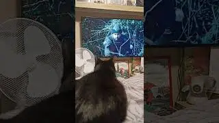 Любимые турецкие сериалы перед сном (Воскресший Эртугрул)