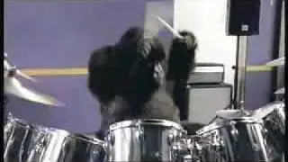 Cadbury Gorilla Drummer: 50 Cent Remix! The Real 