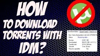 How To Download Torrent With IDM *AT FULL SPEED* | Working 2018 Method (No File Size Limit!)