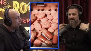 Adderall | Joe Rogan Experience w/ Andrew Huberman