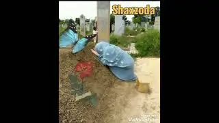 Дунëни йиглатган кушик   Оналар хеч улмасин   ... 🤲😥
