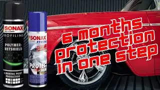Easy 6 months Coating with SONAX Protect & Shine/Polymer Netshield