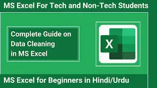 Data Cleaning in MS Excel in Hindi/Urdu