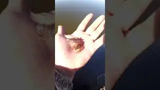 Спас Раков
