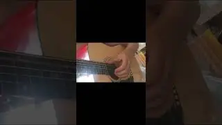 фендер